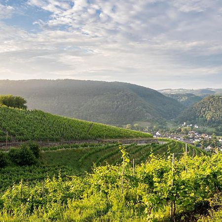 Hotel Moselblick Winningen Exterior foto