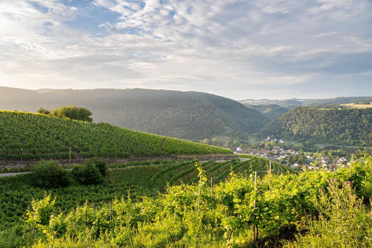 Hotel Moselblick Winningen Exterior foto